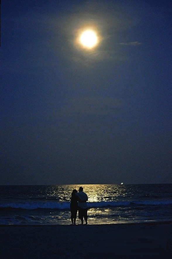 ✦ daily aesthetic advice ✦ Psychological Harmony with @nataliaa.mendezz | Soul-D 515