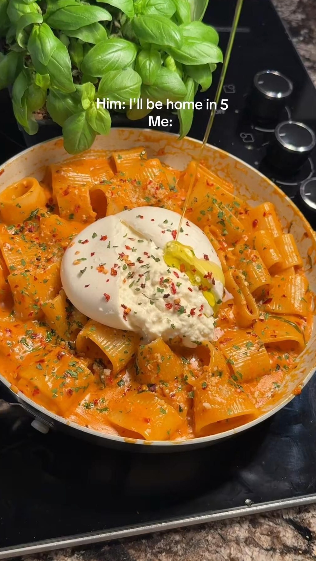 Elegance in Every Twist and Turn | 🪴 🏙️ soul deep aesthetic 227