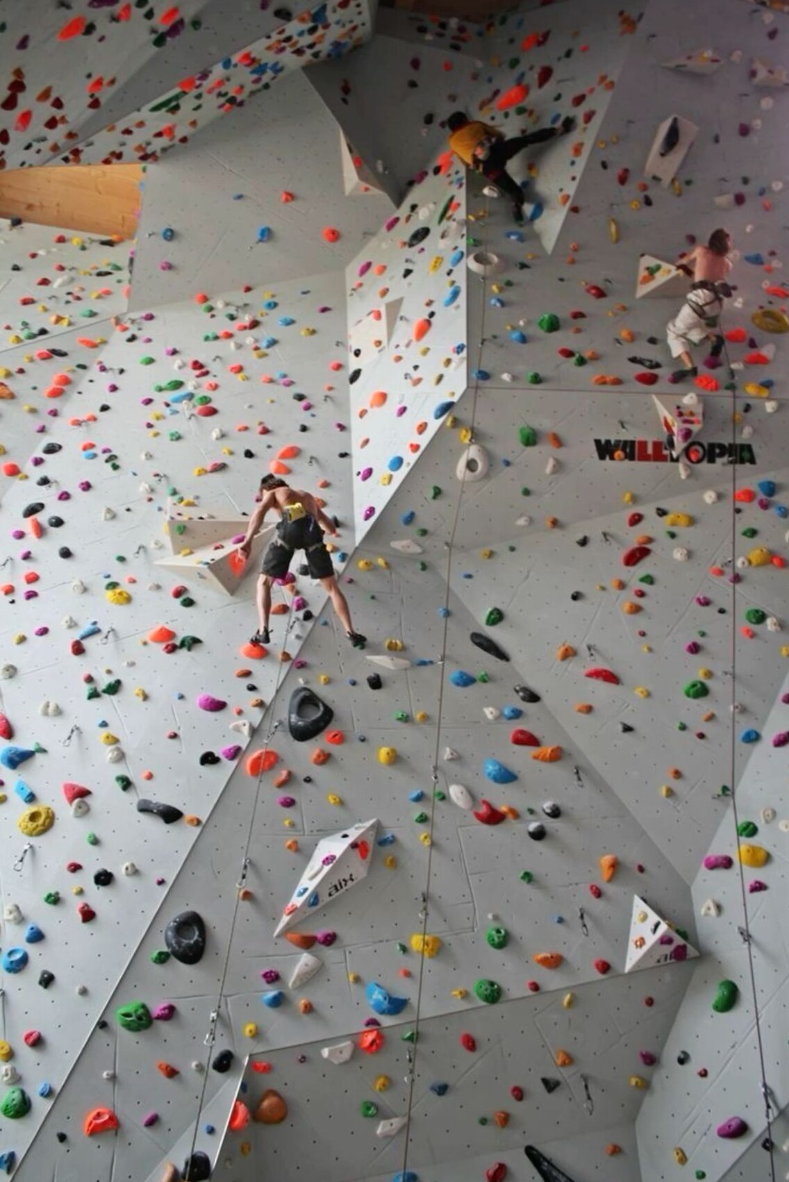 📚 📚 Fate Finds You on the Wall of Climb — aesthetic edit 880