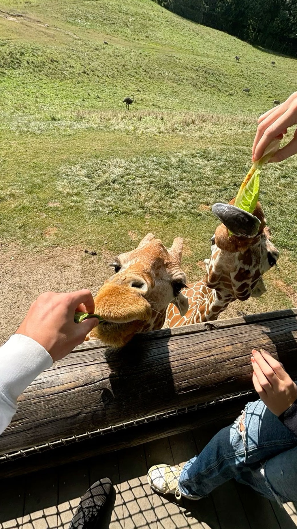 Soulful Moments: Thoughtful Date Ideas for True Connection — ✨ ☕ 436