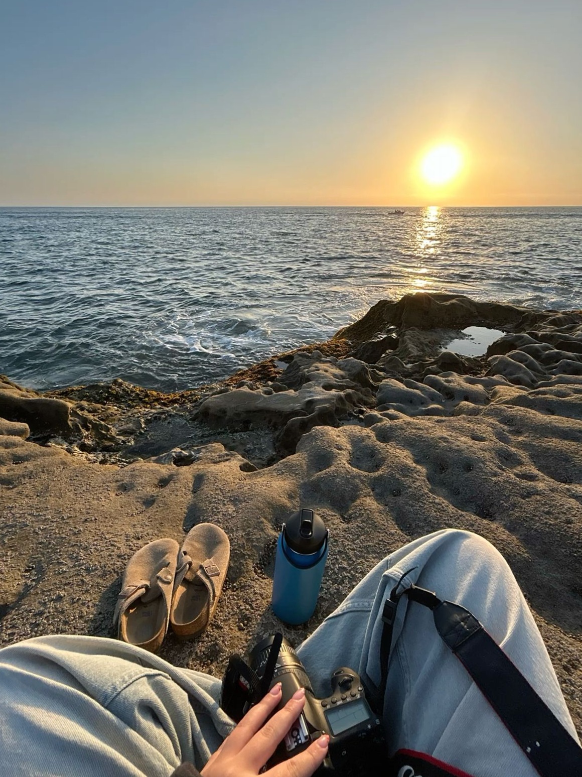 🧘‍♀️ ⟡ Coastal Soul Harmony: Serene Shores for Intentional Connection 615