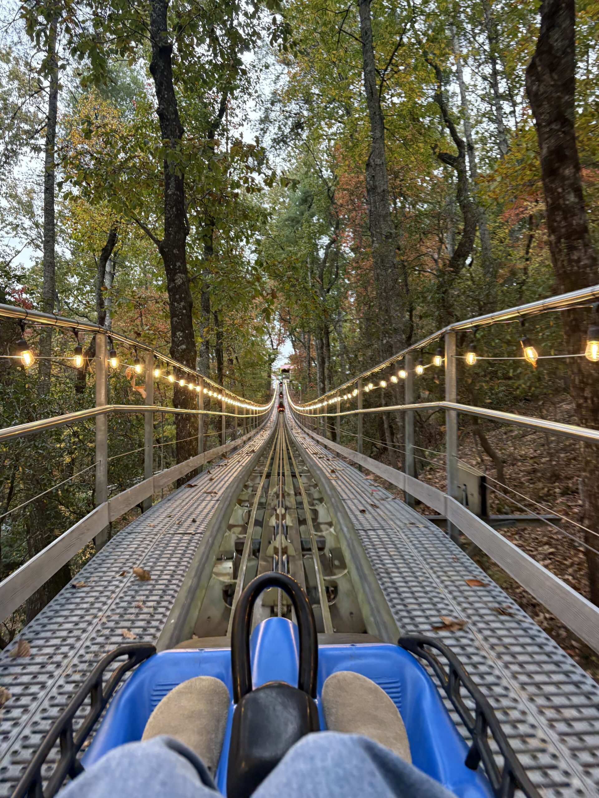🧿 🗝️ Fate’s Summit: Finding Your Match on the Mountain Coaster Journey 180
