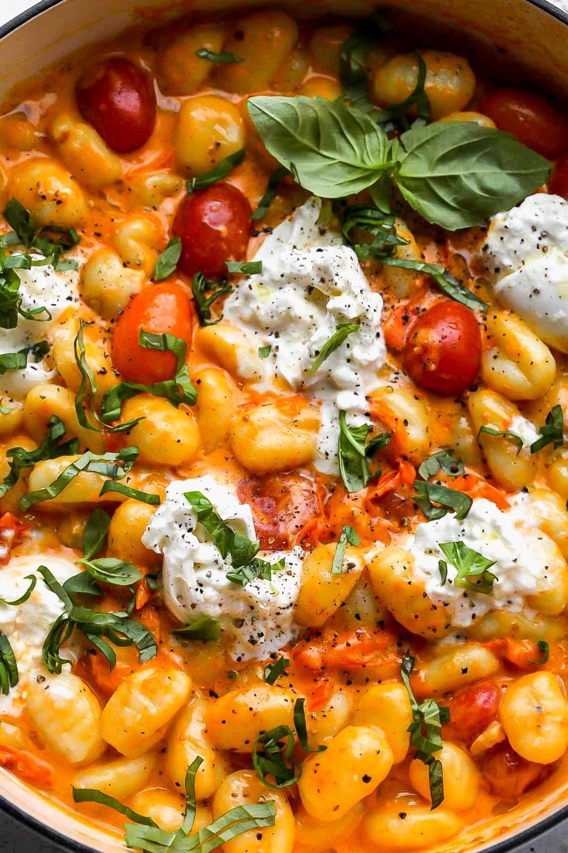 magnetic energy visual: 🖼️ 🪴 Soulful Tomato Gnocchi with Creamy Burrata Whispers 672
