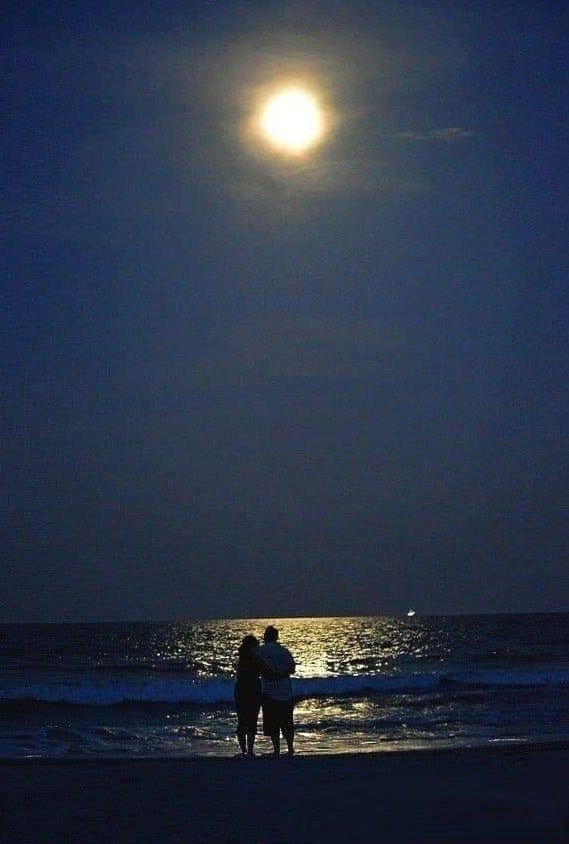 🤍 Moonlit Soul Matches: Discover Your Cosmic Compatibility | aesthetic relations 452