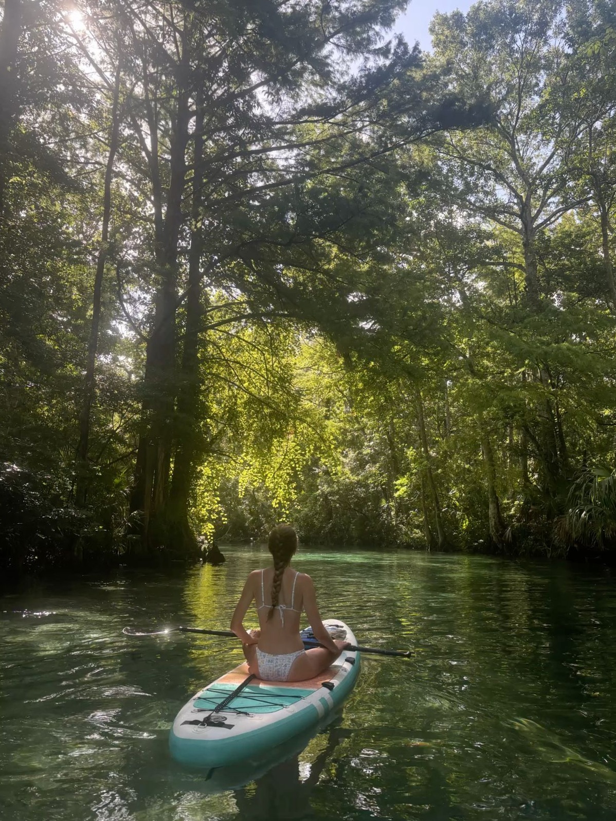 Soul-Wave Synchronicity: Paddle Boarding with Your Heart’s Reflection 🧭 457