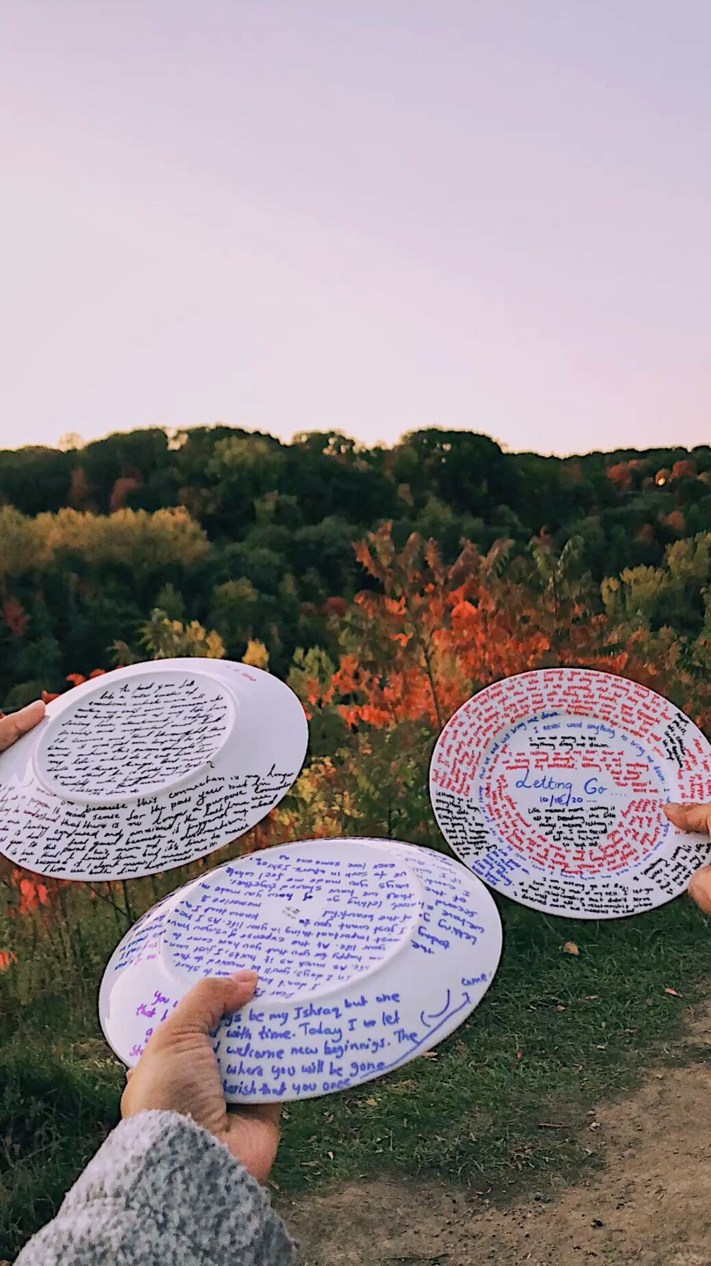 🖼️ ✦ Soulful Letting Go: Plates That Whisper of Fated Connection 339