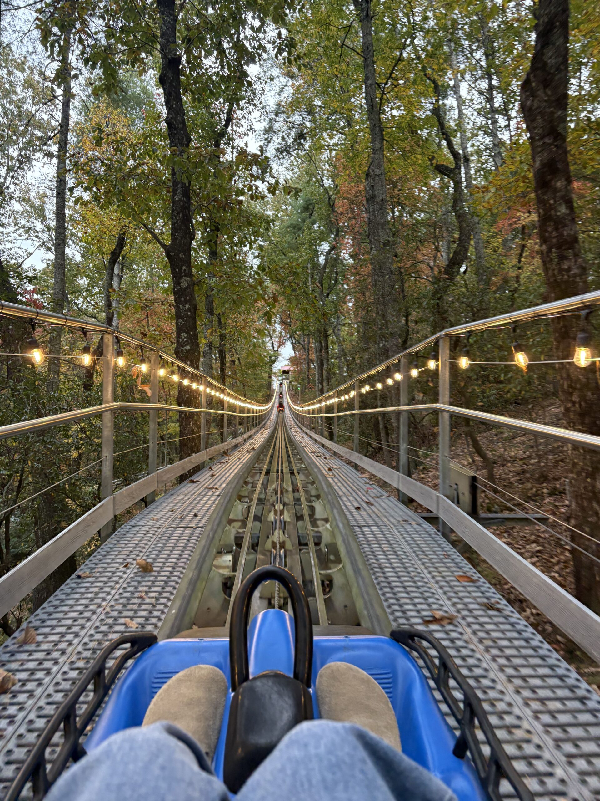 🕸️ 👁️ ✒️ Soulful Peaks: Finding Harmony on the Mountain Coaster Journey | art of 756