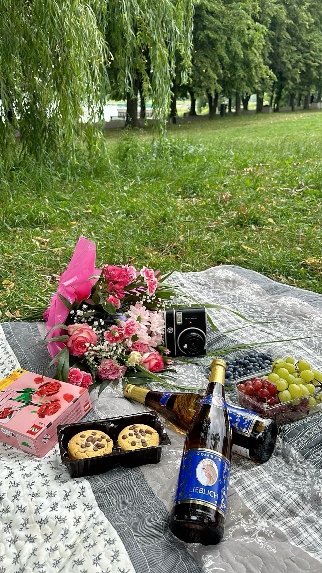 💌 ⟡ Soulful Picnic Under Endless Skies 566