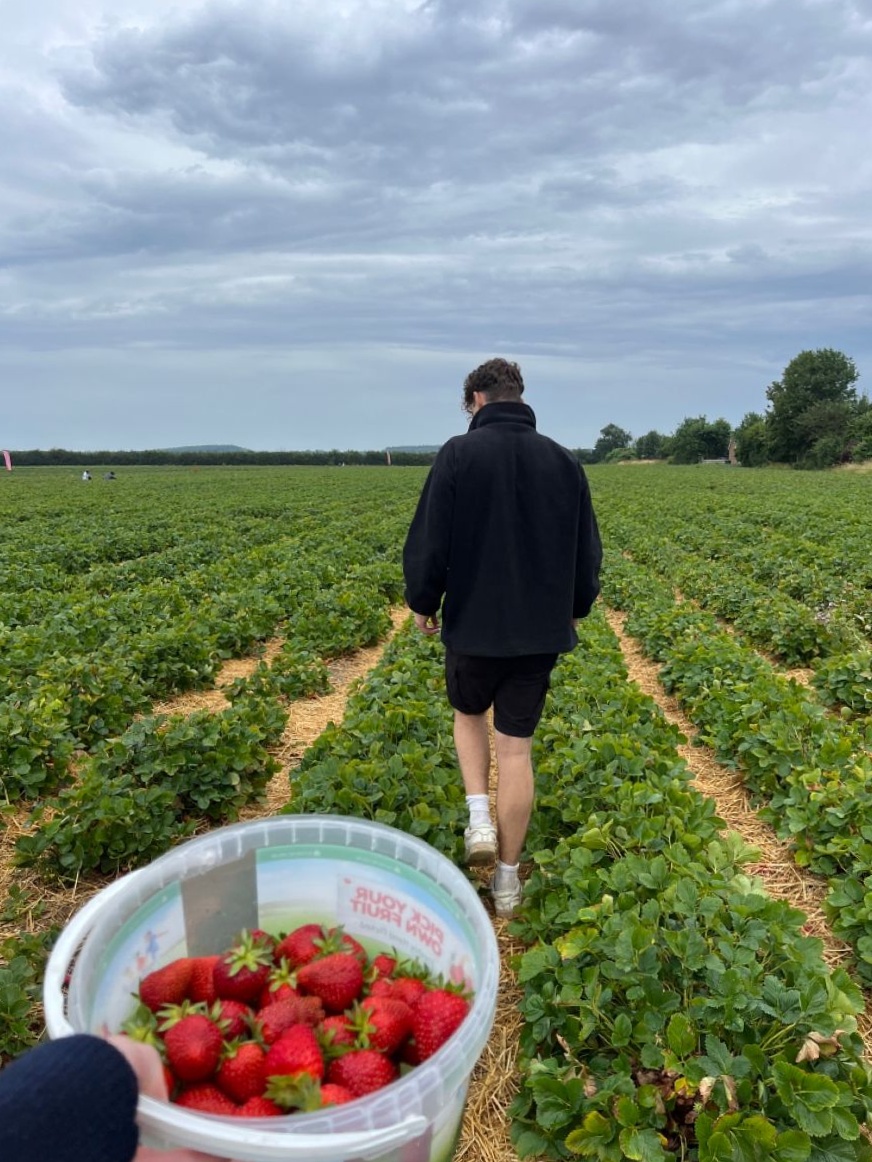 Strawberry Picking Date: Sweet Encounters Under Summer Skies | 📸 couple goals in 148