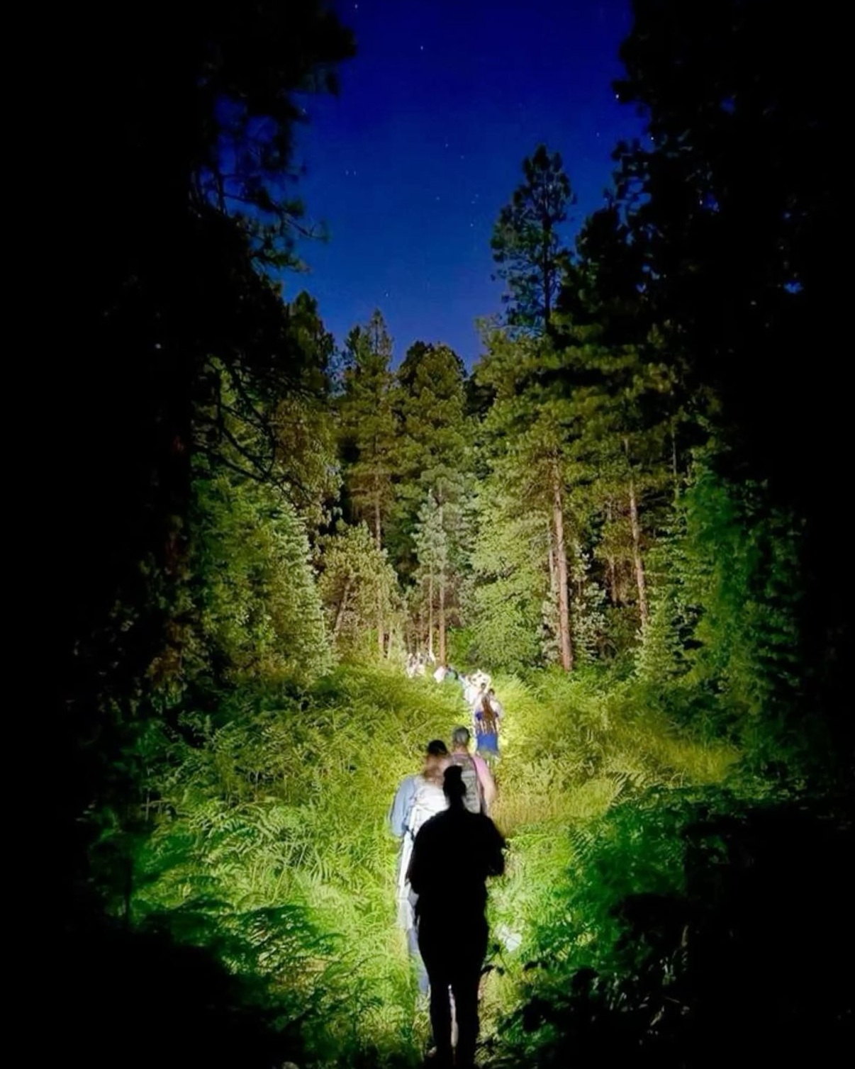 ✦ vibe check passed ✦ Moonlit Ascent for Two Soul-Seekers ✒️ 🎭 531