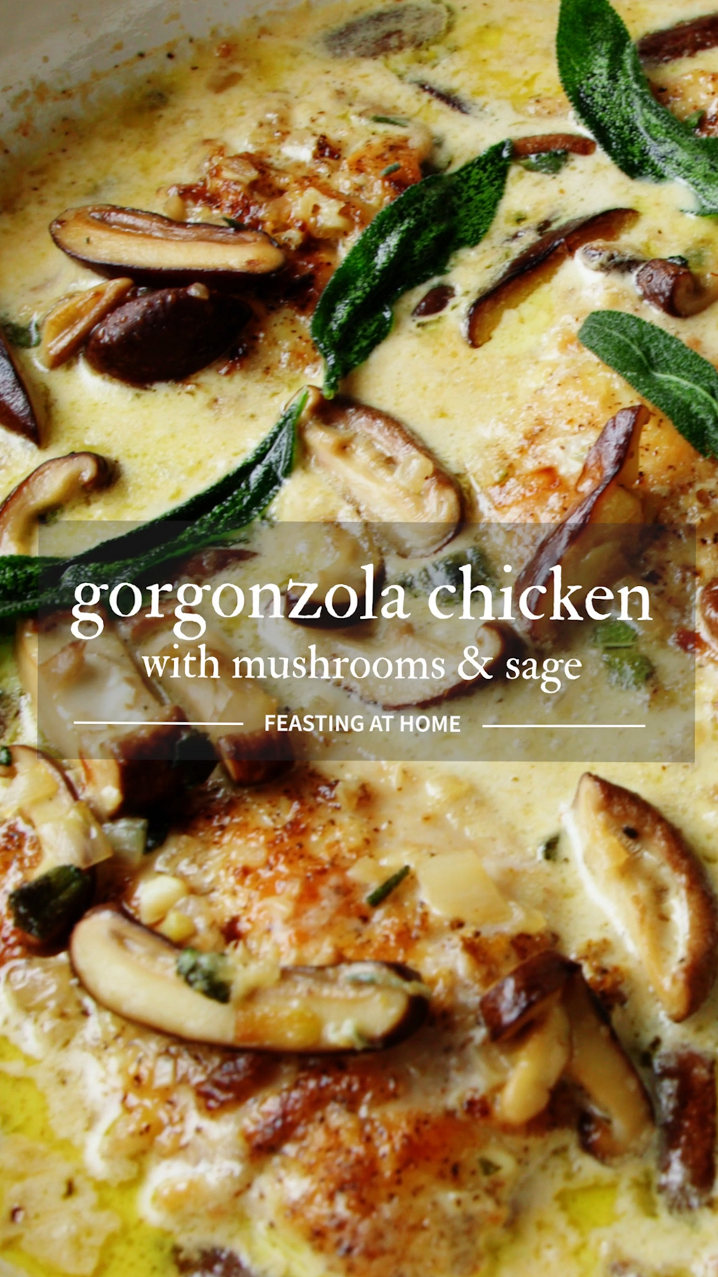 ✦ vibe check passed ✦ Soulful Gorgonzola Chicken & Mushrooms in Sage-Infused Har 386